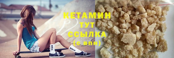 гидра Абаза