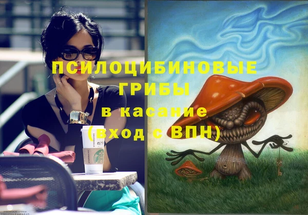 шишки Осинники
