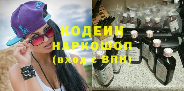 гидра Абаза