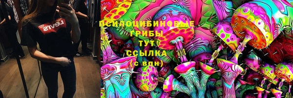 герыч Осташков