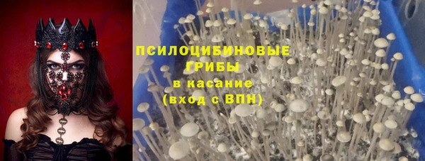 spice Абдулино