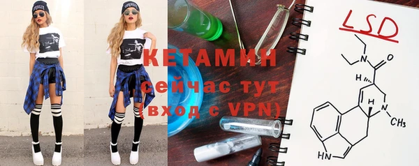 гидра Абаза