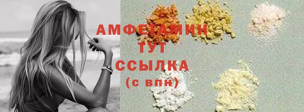 гидра Абаза