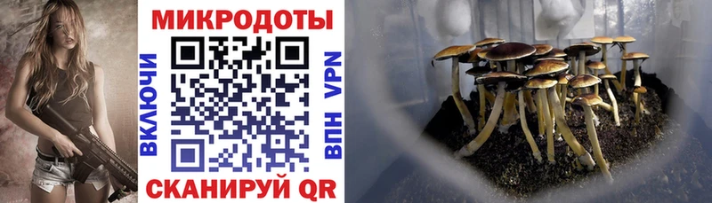 Галлюциногенные грибы мицелий  кракен вход  Абаза 